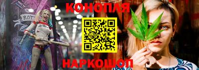 гидропоника Заводоуковск
