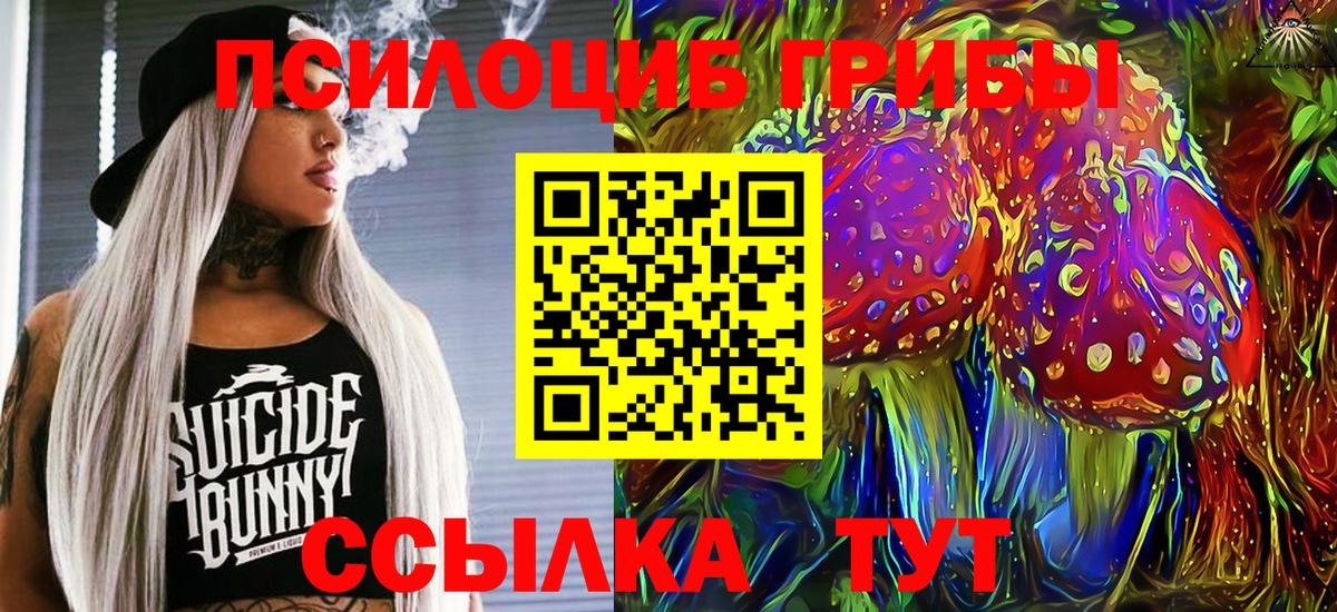 Псилоцибиновые грибы Psilocybine cubensis Лесосибирск